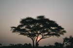 Slide thumbnail