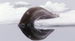 Slide thumbnail