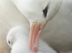 Slide thumbnail