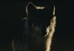 Slide thumbnail