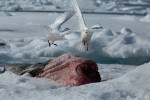 Slide thumbnail