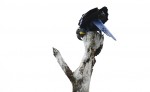 Slide thumbnail