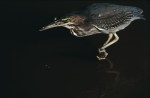 Slide thumbnail