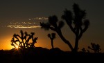 Slide thumbnail