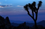 Slide thumbnail