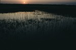 Slide thumbnail