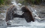 Slide thumbnail