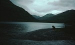 Slide thumbnail