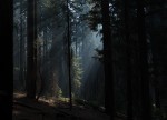 Slide thumbnail