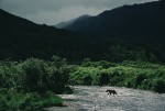 Slide thumbnail